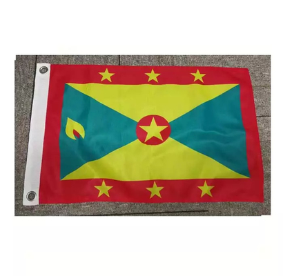 bandiera nautica della barca di 30x45cm delle bandiere di Pantone dei gommini di protezione d'ottone su ordinazione di colore